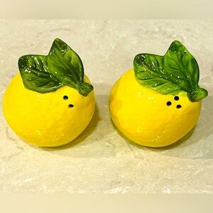 NWT salt pepper shakers, cork lids in a steel tray, beautiful & useful, gifts!